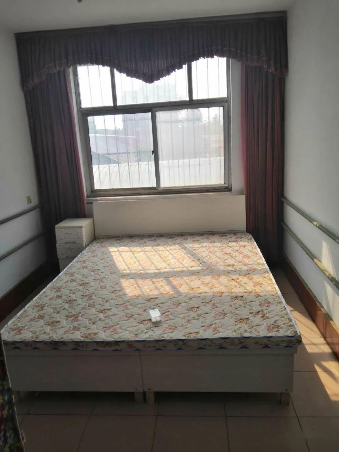定陶租房信息平台，您的理想居住解决方案探索