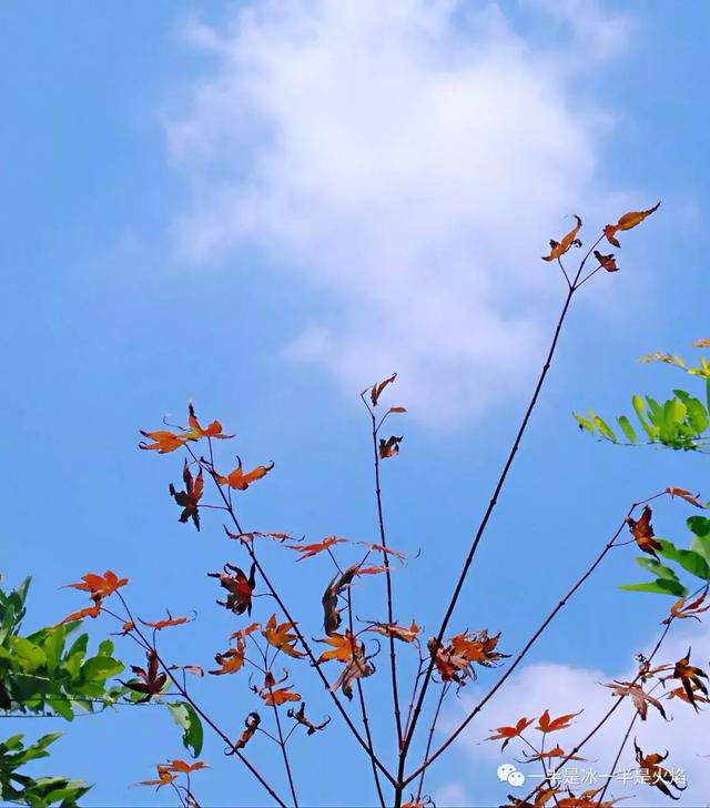 体育运动项目经营 第211页