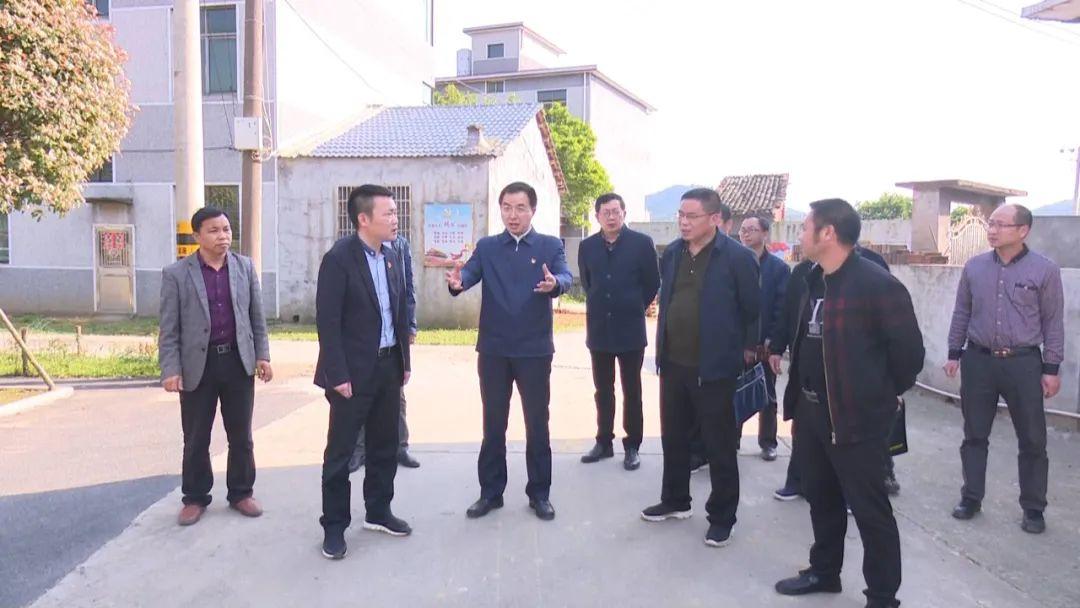 新干资讯快报，掌握最新动态，洞悉未来趋势的权威指南