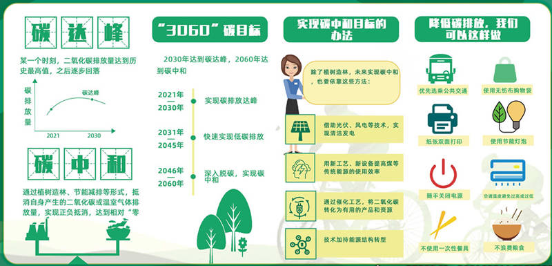 最新行的碳