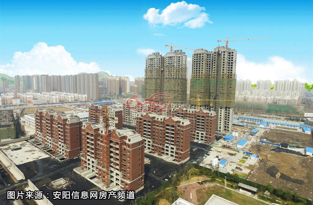 徐州空港新城最新动态，独特小店探秘与空港发展消息