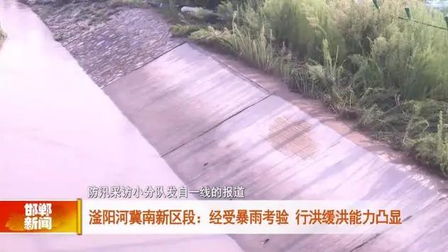 武安电视台最新新闻回顾与时代之声的激荡，影响与展望