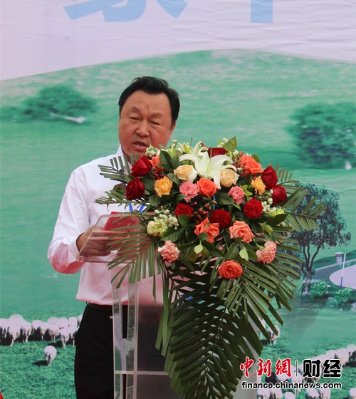 蒙羊牧业最新动态，铸就草原传奇的蓬勃力量展露锋芒