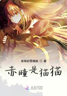 蜕变之力，司御天叶珞最新章节与成就感的交响曲